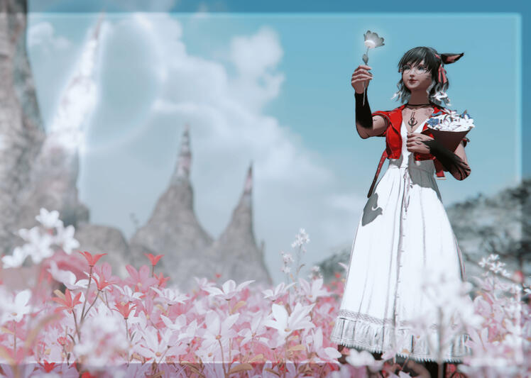 Aerith's Dress